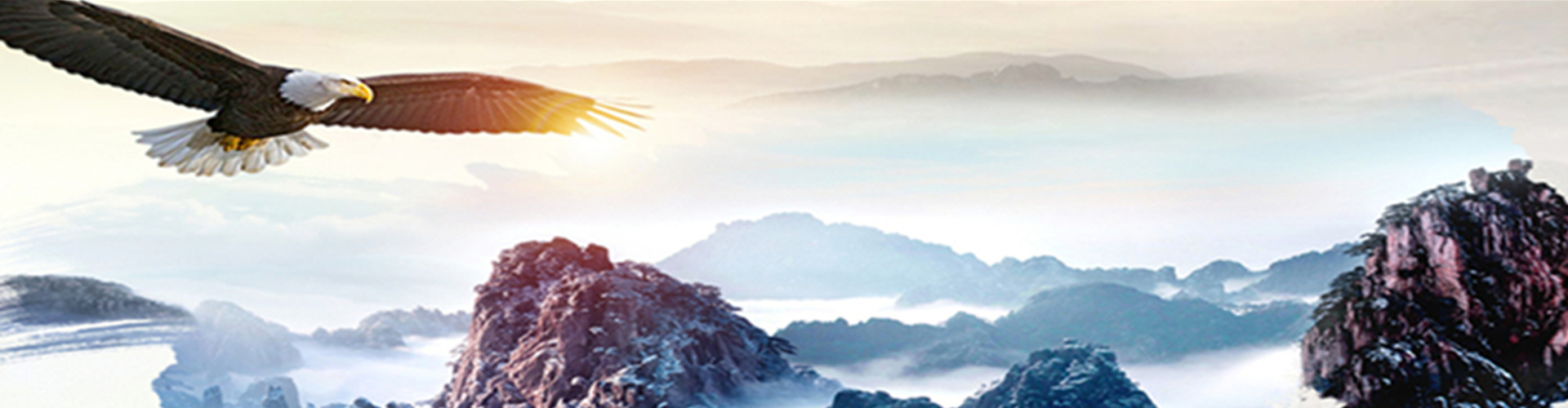 飼料廠(chǎng)廢氣除臭 食品廠(chǎng)廢氣處理